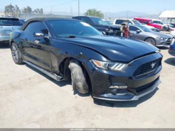  Salvage Ford Mustang