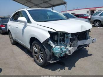  Salvage Lexus RX