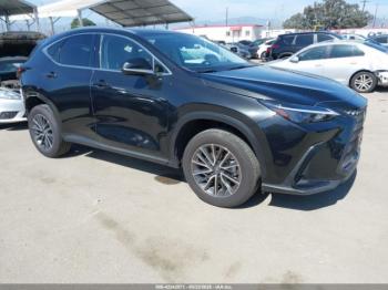  Salvage Lexus NX