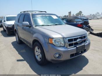  Salvage Ford Escape