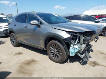  Salvage Lexus NX