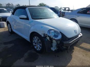  Salvage Volkswagen Beetle