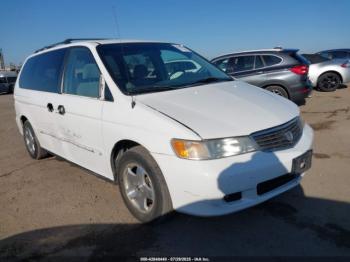  Salvage Honda Odyssey