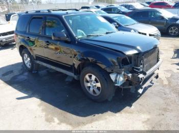  Salvage Ford Escape
