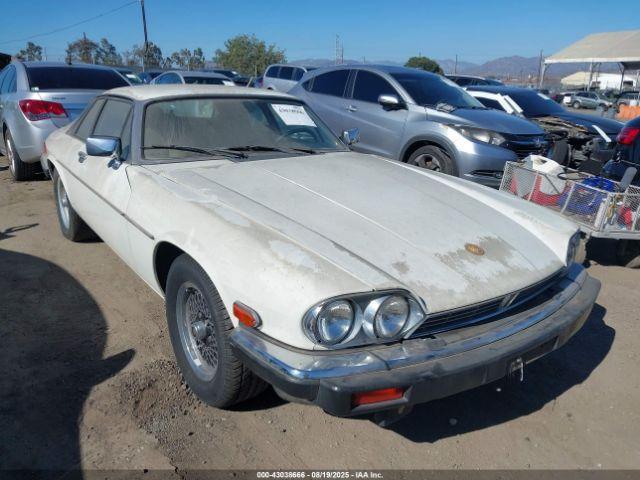 Salvage Jaguar Xjs