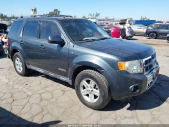  Salvage Ford Escape