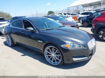  Salvage Jaguar XF
