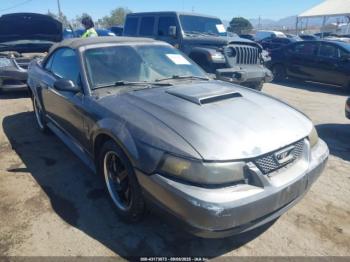  Salvage Ford Mustang