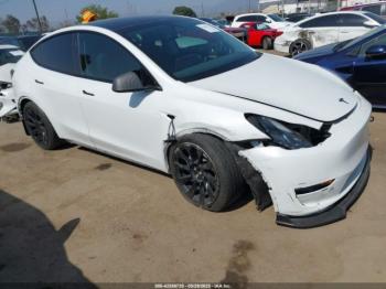  Salvage Tesla Model Y