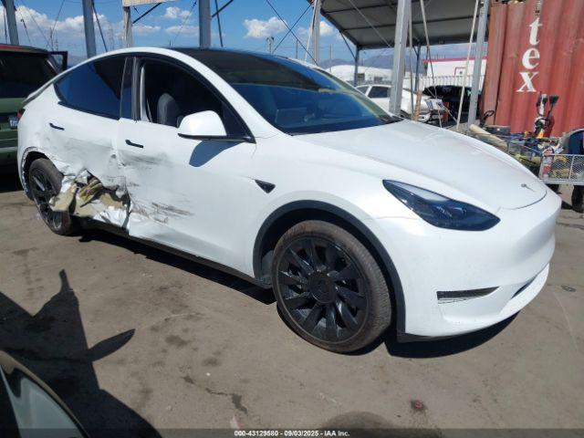 Salvage Tesla Model Y