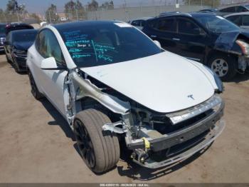  Salvage Tesla Model Y