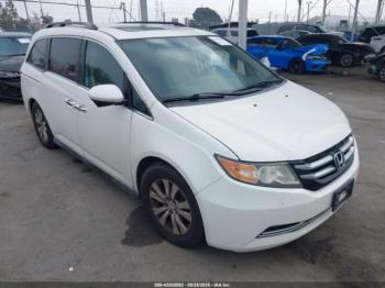  Salvage Honda Odyssey