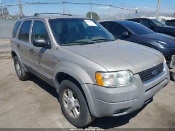  Salvage Ford Escape