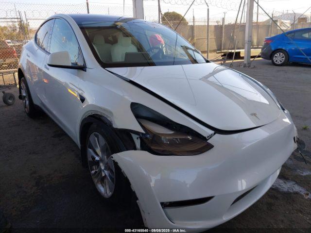  Salvage Tesla Model Y