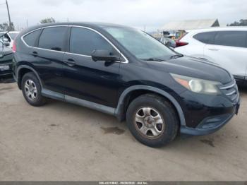  Salvage Honda CR-V