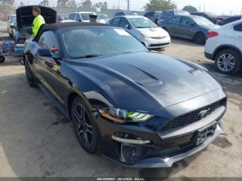  Salvage Ford Mustang