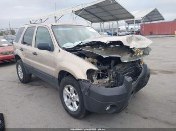  Salvage Ford Escape