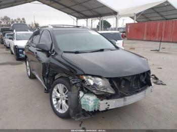  Salvage Lexus RX