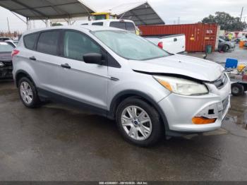  Salvage Ford Escape