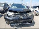 Toyota RAV4 Xle Image 8