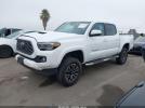 Toyota Tacoma Trd Sport Image 2