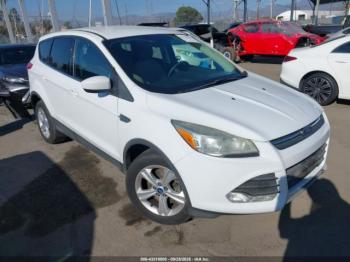  Salvage Ford Escape