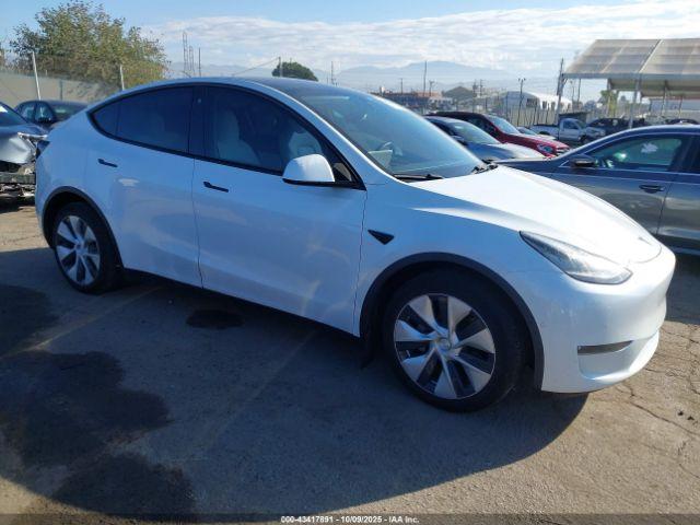  Salvage Tesla Model Y