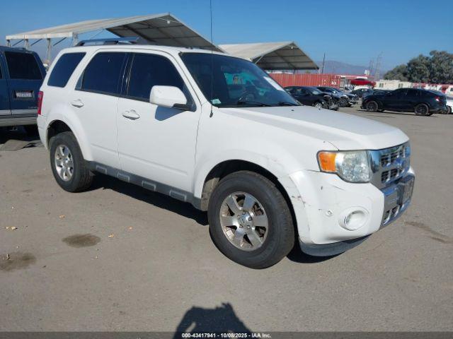  Salvage Ford Escape