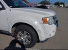 Ford Escape Limited Image 6