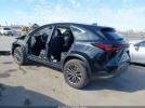 Lexus NX Premium Image 2