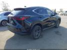 Lexus NX Premium Image 4