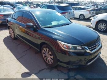  Salvage Honda Accord