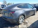 Tesla Model Y Image 6