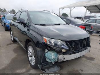  Salvage Lexus RX
