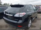 Lexus RX Image 7