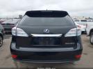 Lexus RX Image 12
