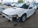 Ford Mustang Image 3