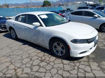  Salvage Dodge Charger
