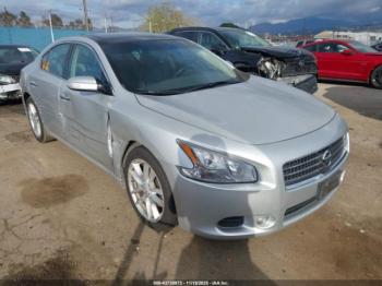  Salvage Nissan Maxima