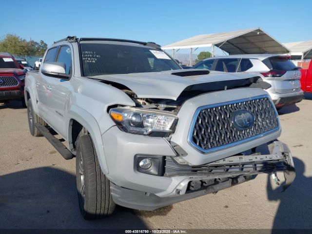 Toyota Tacoma Trd Sport Image 1