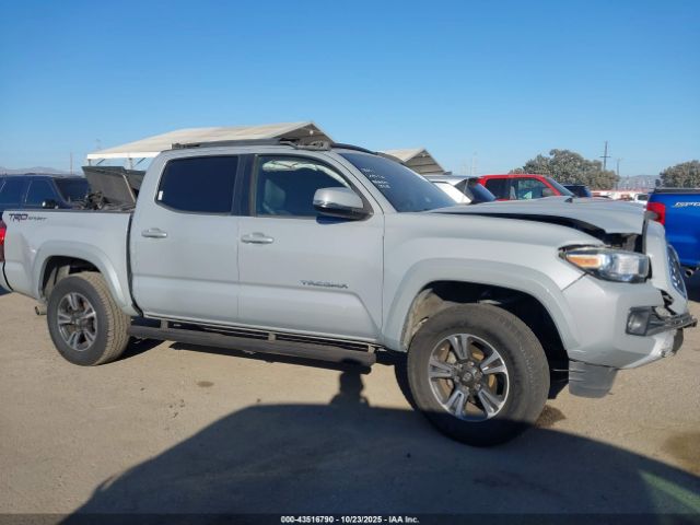Toyota Tacoma Trd Sport Image 12