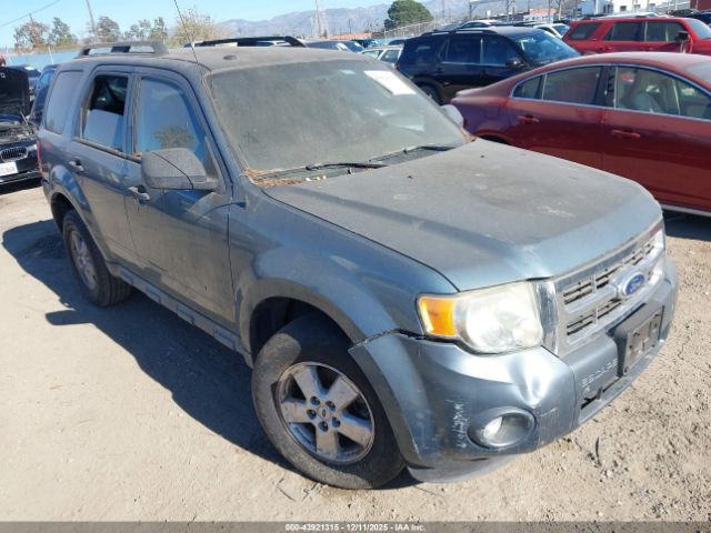 Ford Escape Xlt Image 1