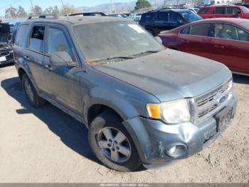  Salvage Ford Escape
