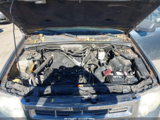 Ford Escape Xlt Image 10