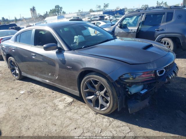 Dodge Charger Image 1