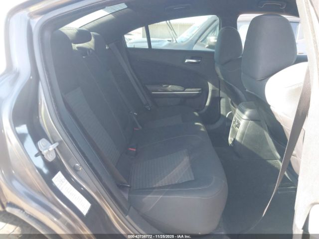 Dodge Charger Image 10