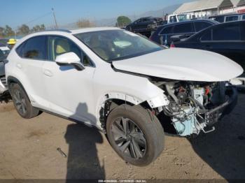  Salvage Lexus NX