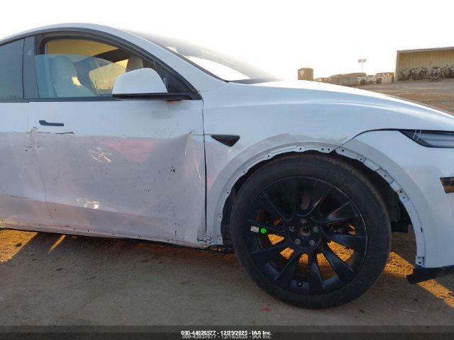 Tesla Model Y Image 7