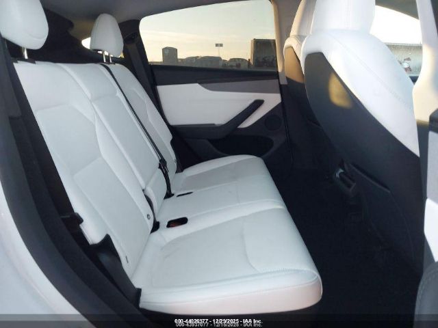 Tesla Model Y Image 6