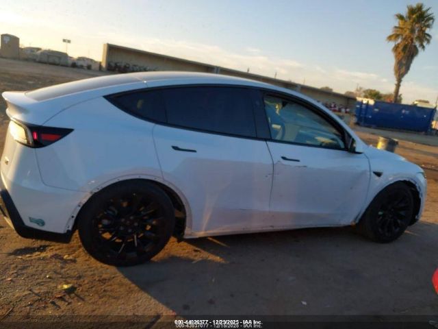 Tesla Model Y Image 12